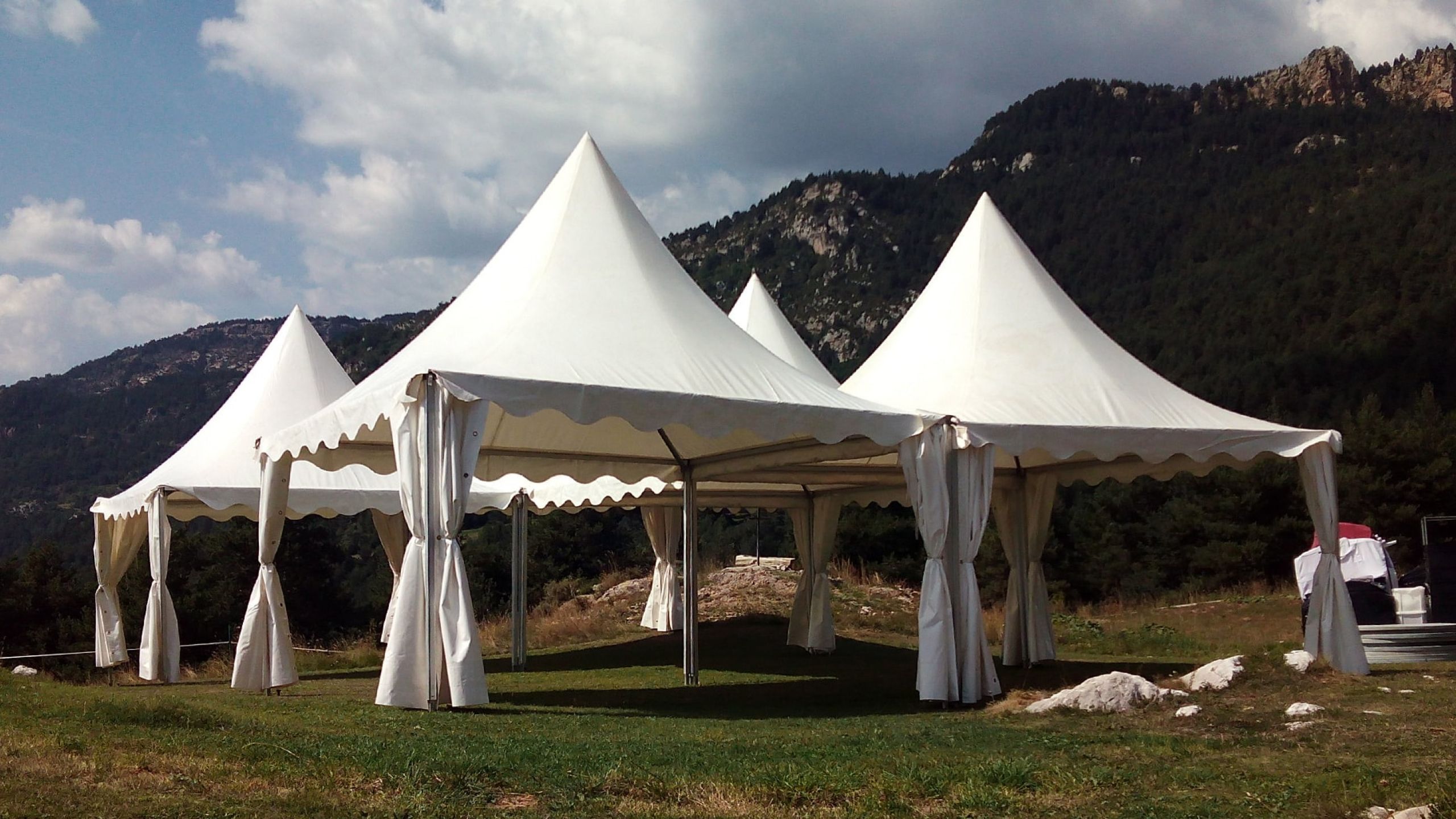carpa pagoda