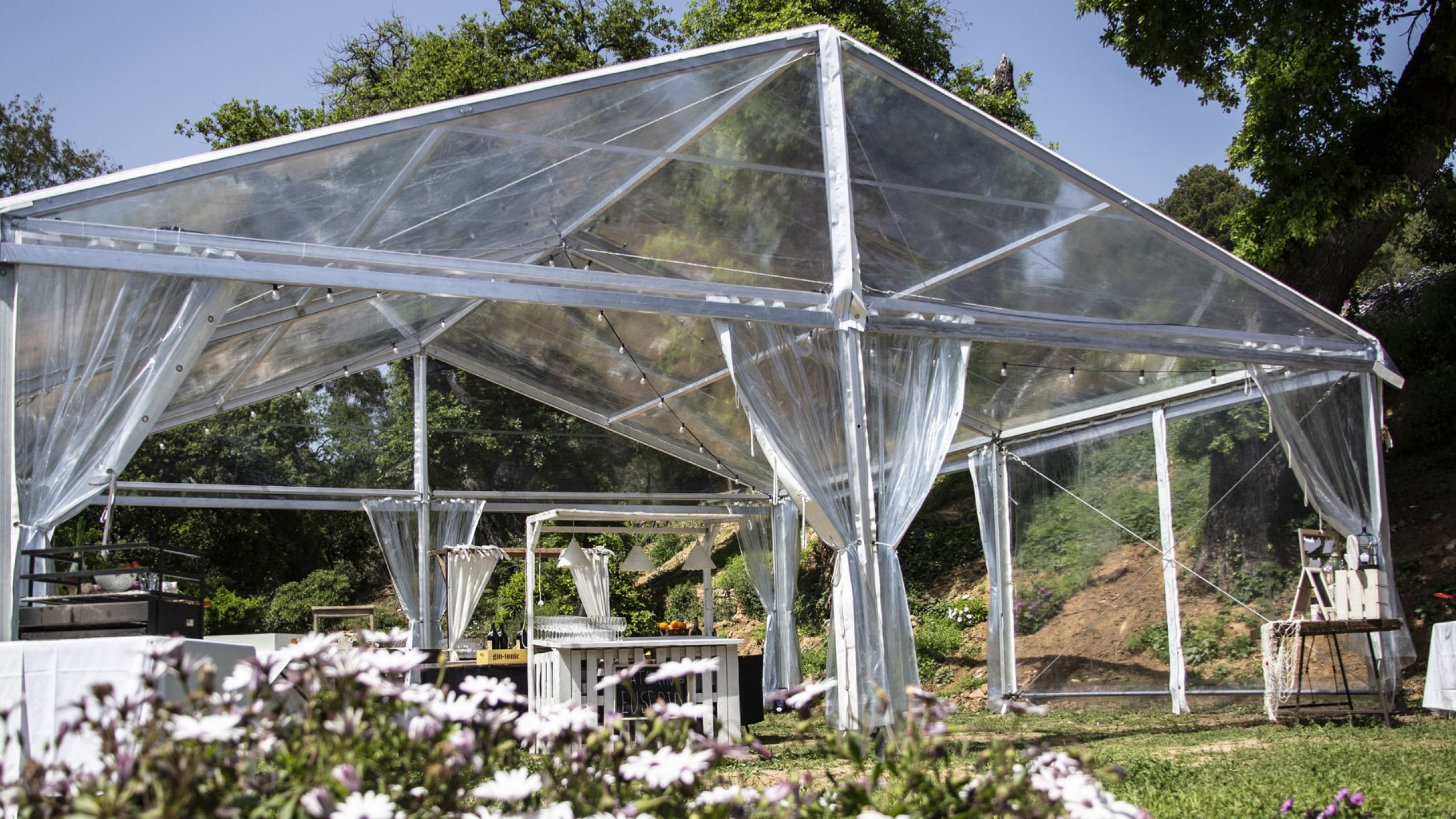 carpa transparente
