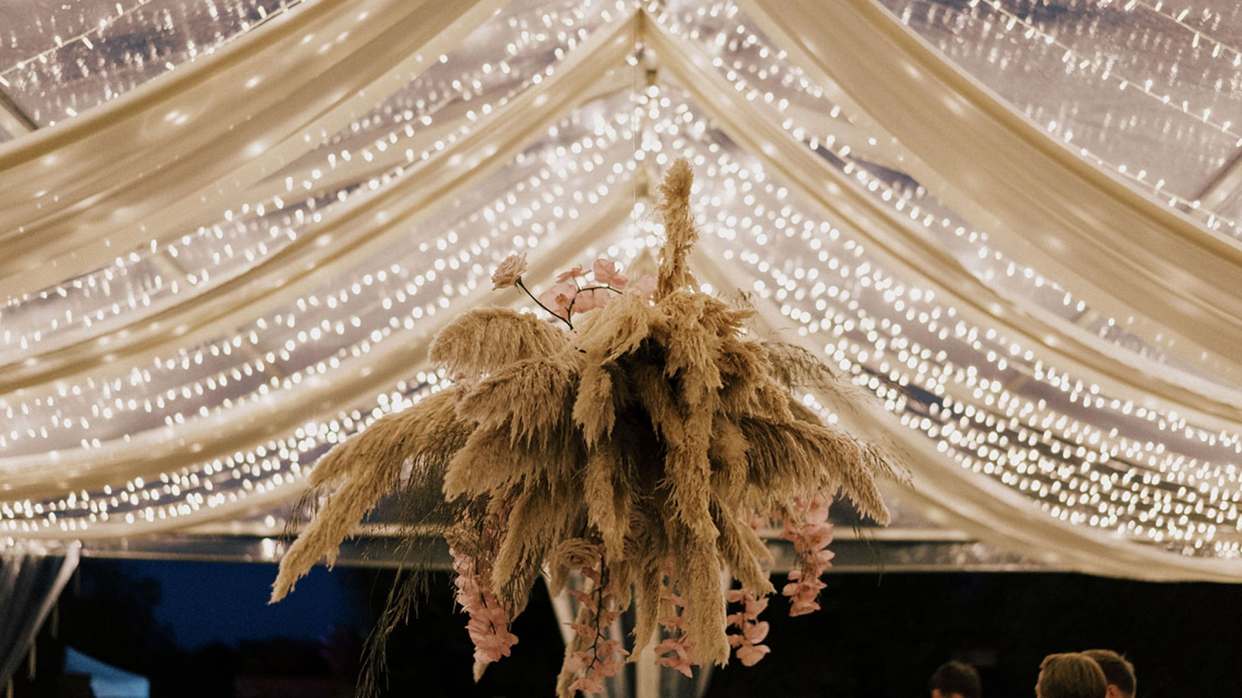 carpa transparente boda