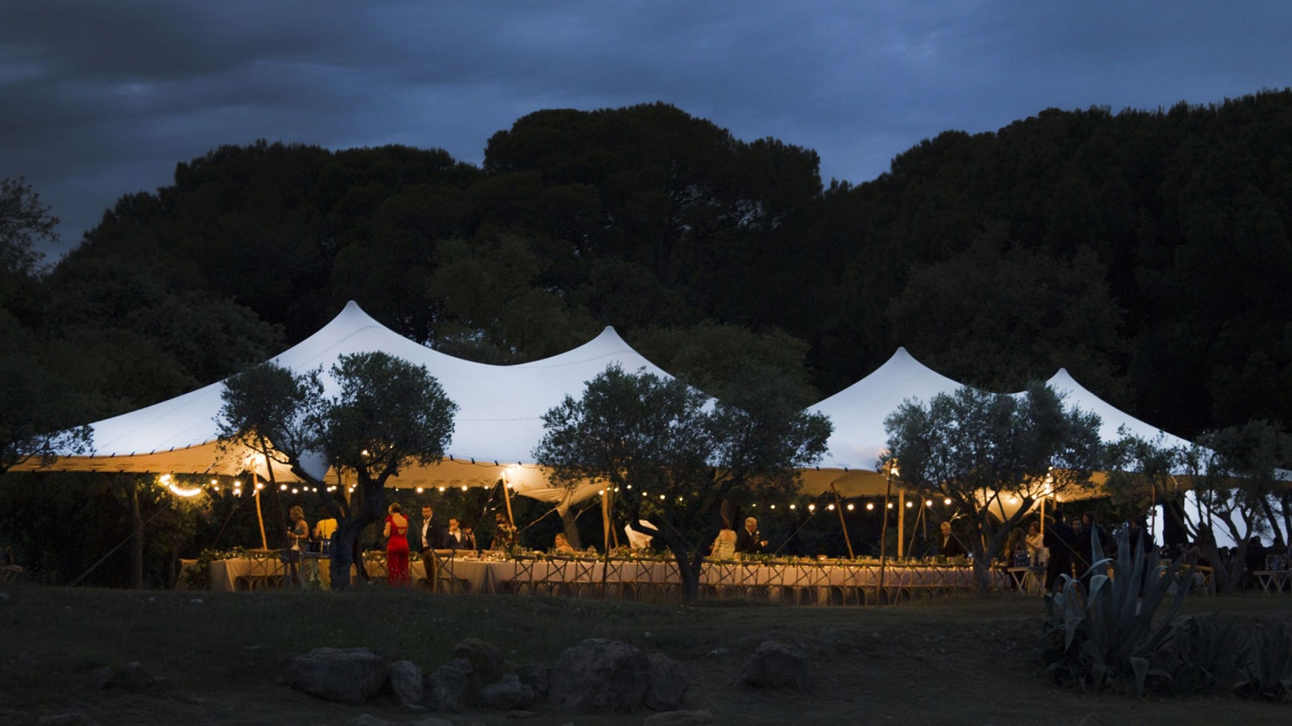 alquiler carpa elástica