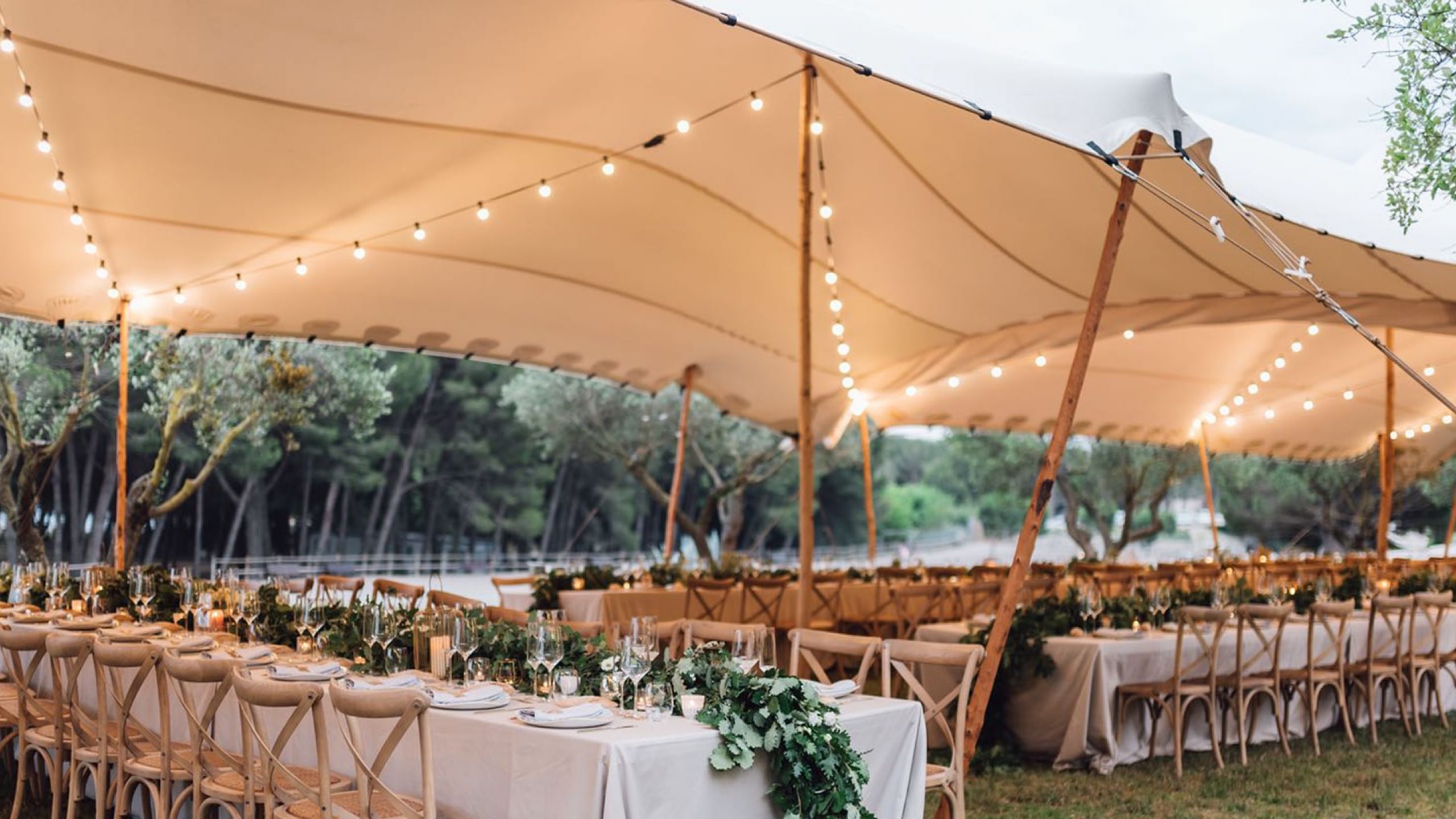 alquiler de carpas elásticas para eventos