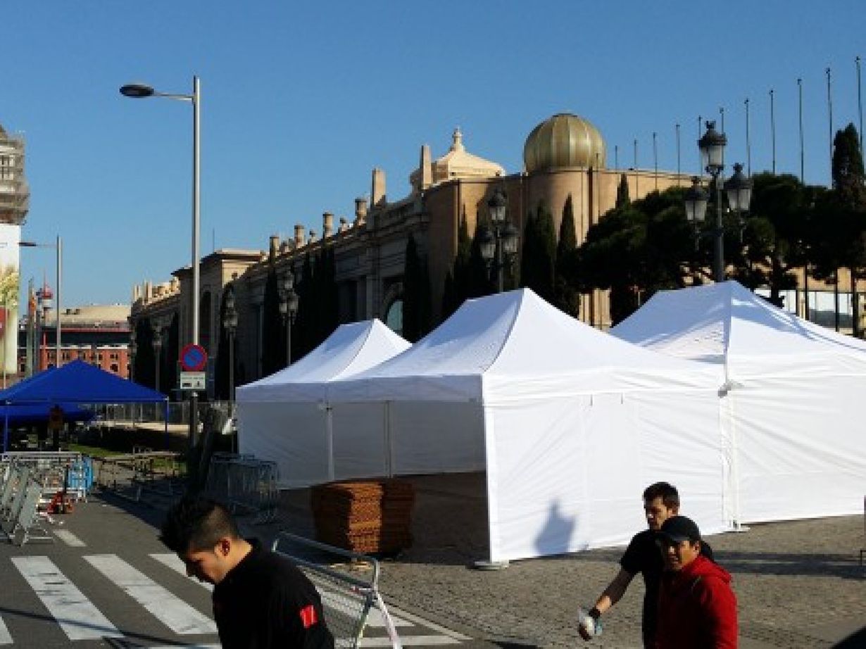 Carpa plegable 6x4