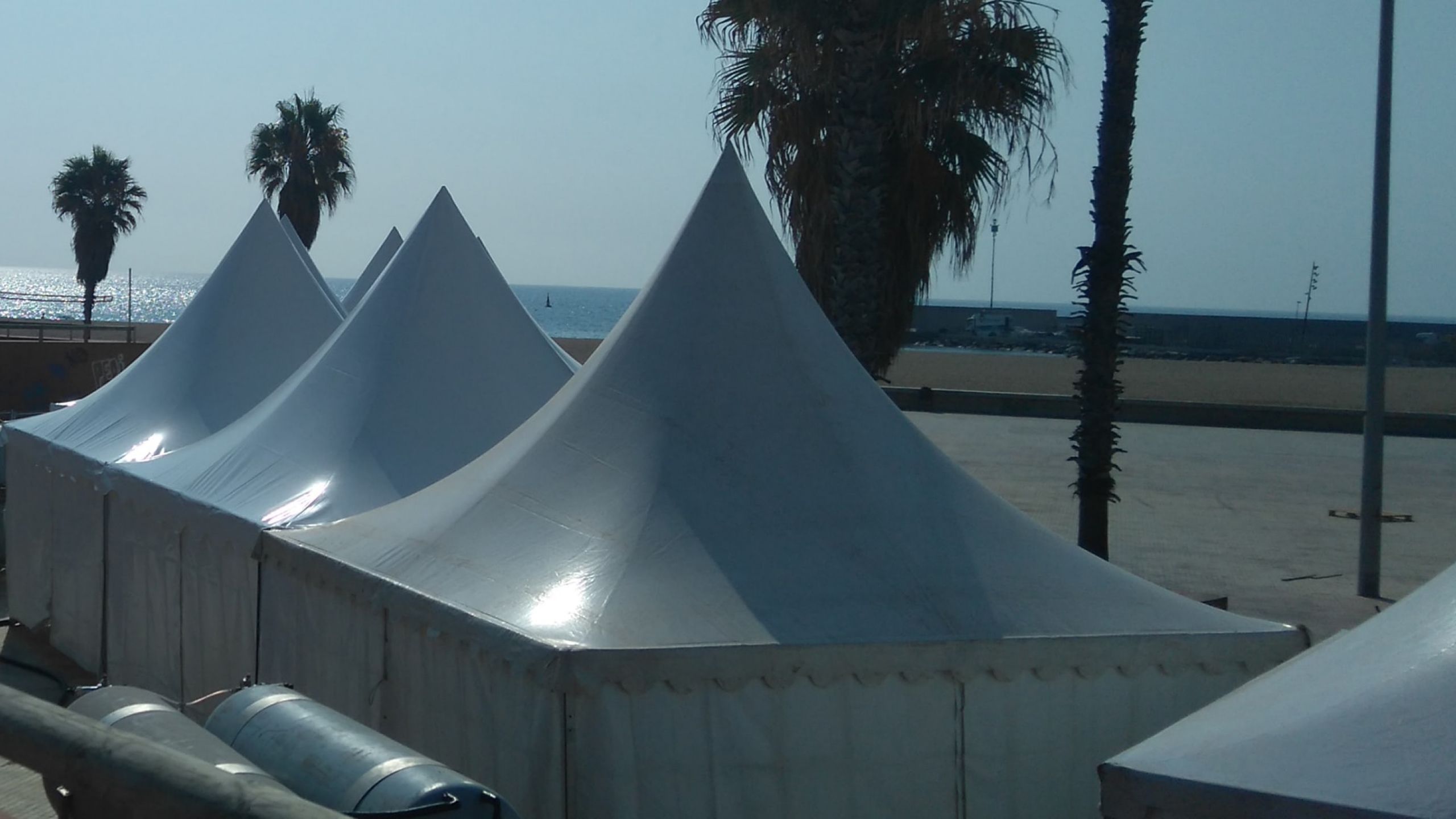 pagoda carpa