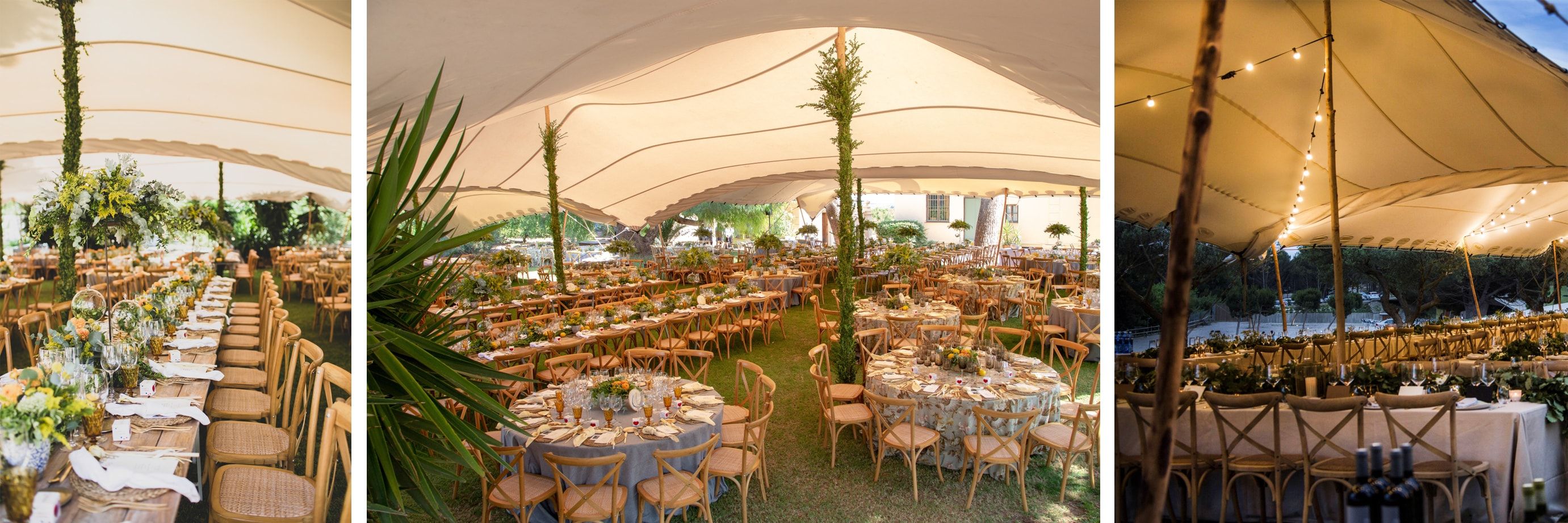 Carpas Beduinas Jaima Elásticas