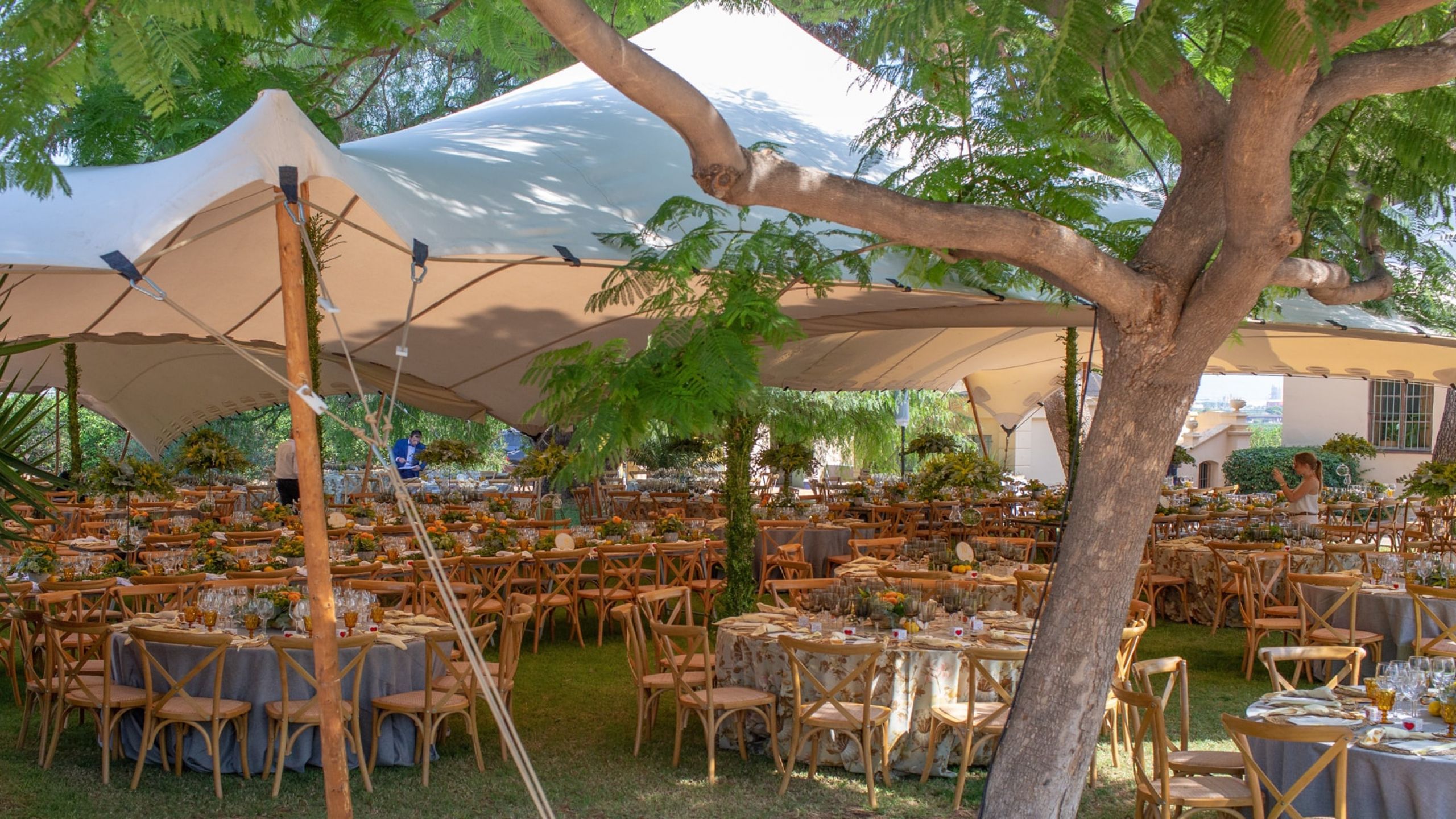 carpa jaima